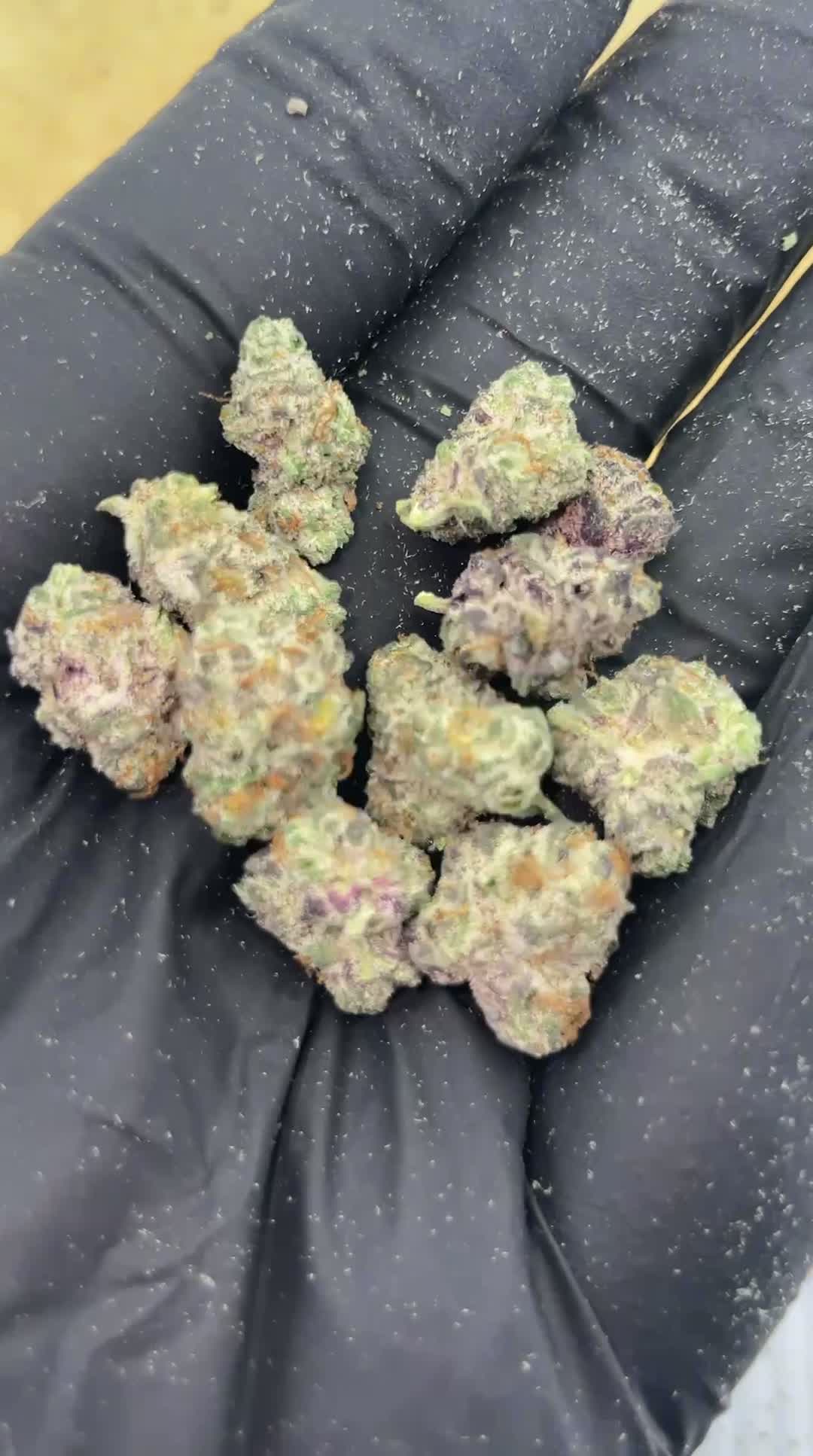 Blue Cheese 🧀🫐