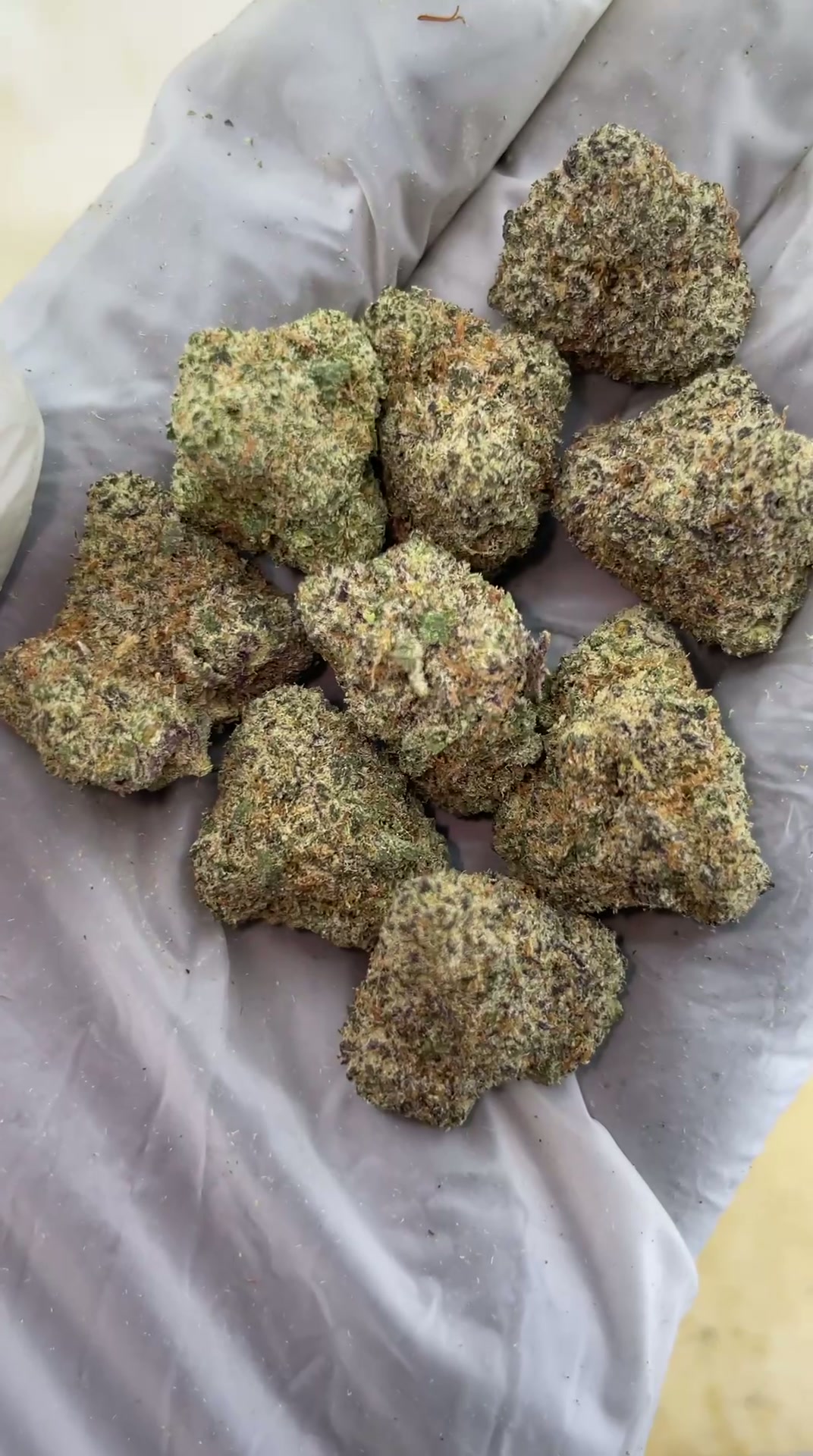 Donkey Butter 🧈