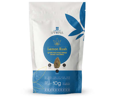למון קוש אוג'י Lemon Kush OG T15/C3