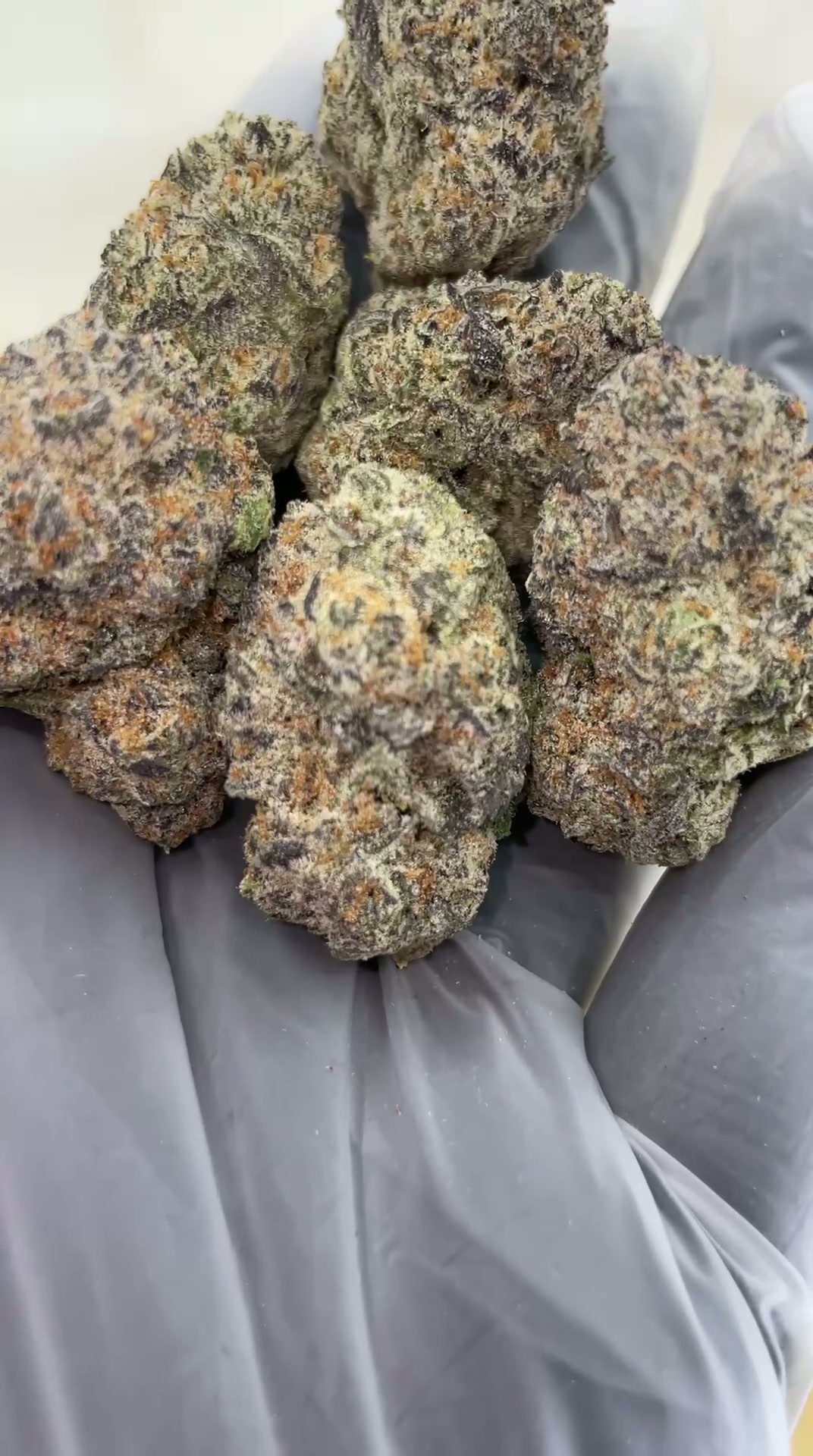 Pink Lemonade 🍋🌸