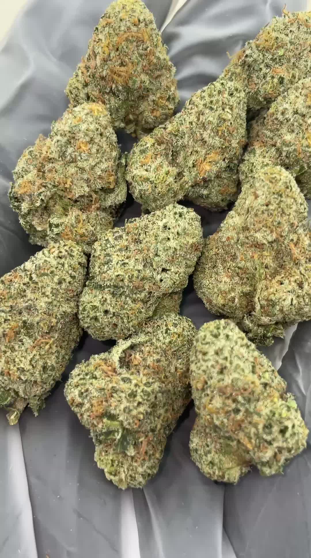 MAC 1 🌿
